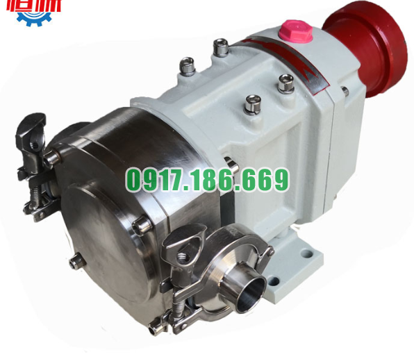 Bơm bánh răng 3RP6/0.6