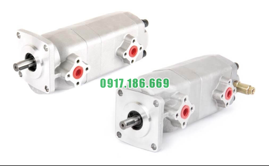 Bơm Bánh Răng Kép HGP-22A-55J