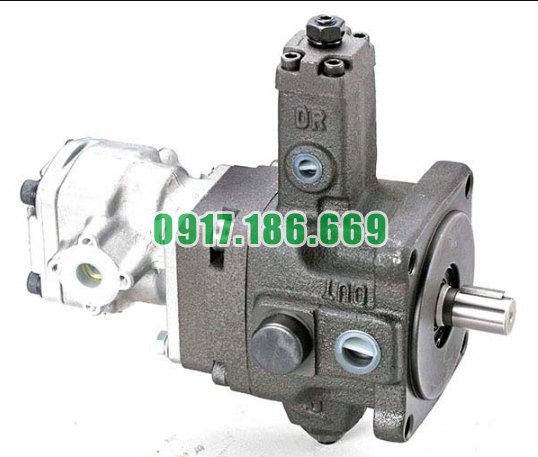 Bơm Cánh Gạt Thủy Lực VGPE-F30-PA-10