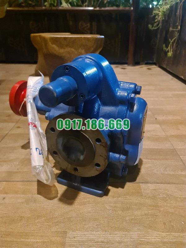 Có được lắp đặt động cơ tốc độ hai cực cho bơm bánh răng kcb 300