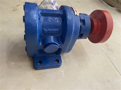 Đi bàn giao hai đầu bơm bánh răng 2CY1.08