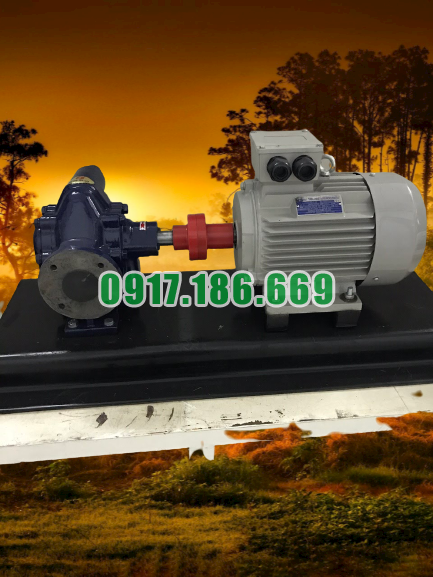 Bơm bánh răng 18 m3, bơm mỡ cá, bơm hút dầu thải 18m3, bơm rỉ mật