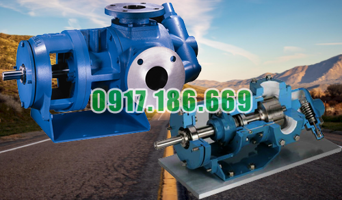 hình ảnh bơm bánh răng ăn khớp trong akt3.6