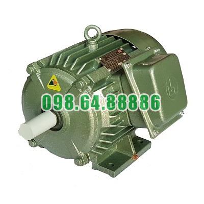 dong-co-dien-4kw-4-lap-cho-bom-banh-rang-2cy3-2