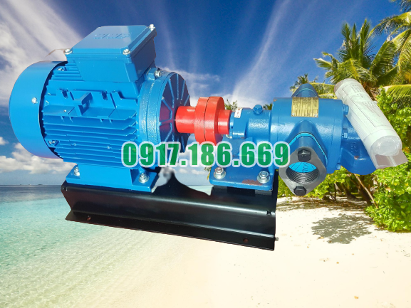 hinh-anh-bom-banh-rang-2hp-luu-luong-3m3