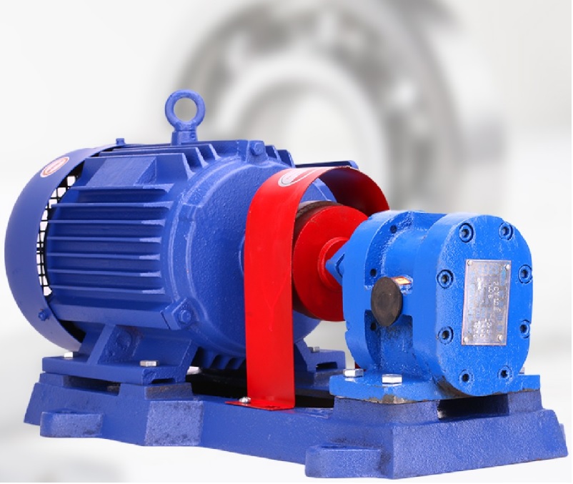 Hình ảnh thực tế của máy bơm bánh răng 2cy 1.08