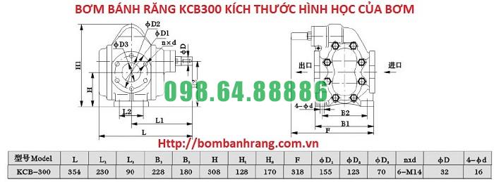 kich-thuoc-hinh-hoc-bom-banh-rang-kcb300