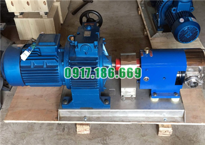 Bơm bánh răng 3RP21/0.6