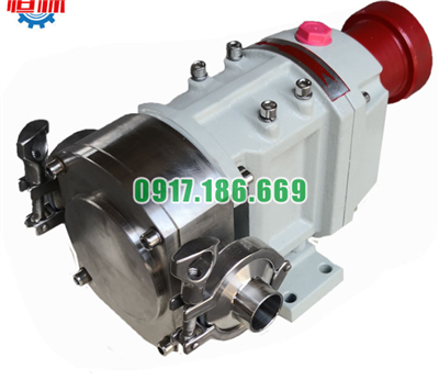 Bơm bánh răng 3RP6/0.6