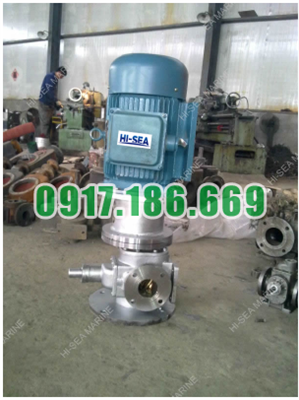 Bơm bánh răng LYB25