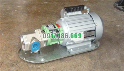 Bơm bánh răng WCB10/1.2