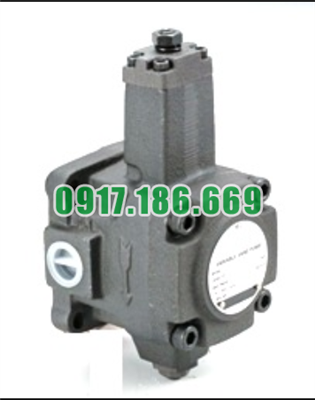 Bơm Cánh Gạt Thủy Lực VPE-F45-A-X