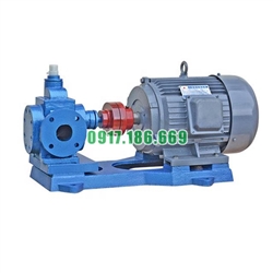 Bơm bánh răng 12m3, bơm hút dầu thải, mỡ cá, keo dán, rỉ mật
