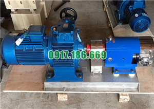 Bơm bánh răng 3RP21/0.6
