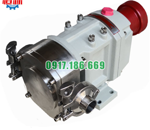 Bơm bánh răng 3RP6/0.6