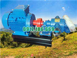 Bơm bánh răng 6m3 dùng bơm dầu thải, mỡ cá, keo, rỉ mật