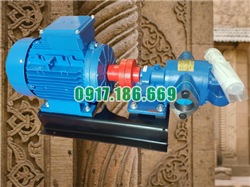 Bơm bánh răng 7m3 dùng để bơm dầu thải, mỡ cá, keo dán, rỉ mật