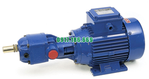 Bơm Bánh Răng Có Mặt Bích Seri APF