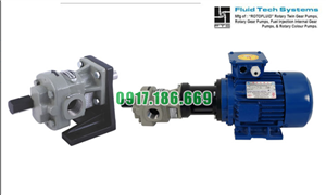 Bơm Bánh Răng ROTOFLUID Dòng FTX