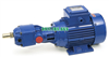 Bơm Bánh Răng Tự Mồi APF15