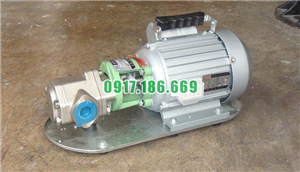 Bơm bánh răng WCB10/1.2