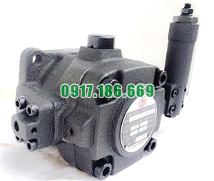 Bơm Cánh Gạt Thủy Lực VDC (VHIF)