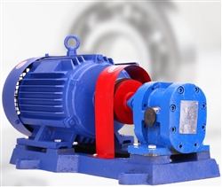 Hình ảnh thực tế của máy bơm bánh răng 2cy 1.08