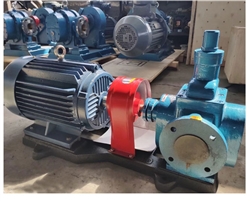 Kiểu dáng và hình ảnh thực tế của bơm bánh răng YCB30 như thế nào
